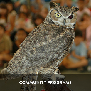 community wildlife programs
